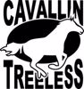 Picture for category Cavallin Treeless & Bareback Pads