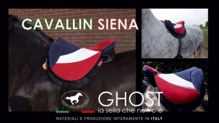 Picture of New Cavallin BBP Models (6 styles)