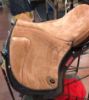 Picture of New Cavallin BBP Models (6 styles)