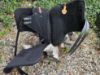Picture of Ivoska Bareback Pad